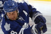 Mike Komisarek Passes through Waivers, Joins Marlies Mike Komisarek Passes through Waivers, Joins Marlies