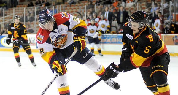 Leafs Prospect Round Up: October 6 Leafs Prospect Round Up: October 6