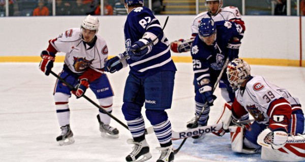 GDT: Toronto Marlies vs Hamilton Bulldogs GDT: Toronto Marlies vs Hamilton Bulldogs