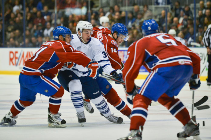 AHL Toronto Marlies vs Hamilton Bulldogs, February 2, 2013