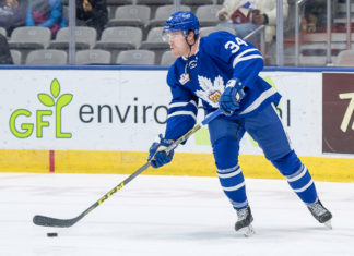 Toronto Marlies boost depth with Alex Gudbranson and Kristian Pospisil signings