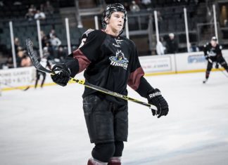 Toronto Marlies Offseason Update: Marlies add three players and an assistant coach