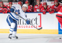 Toronto Marlies Week in Review: November 16 Martin Marincin, Toronto Marlies