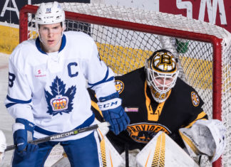 Toronto Marlies vs. Providence Bruins