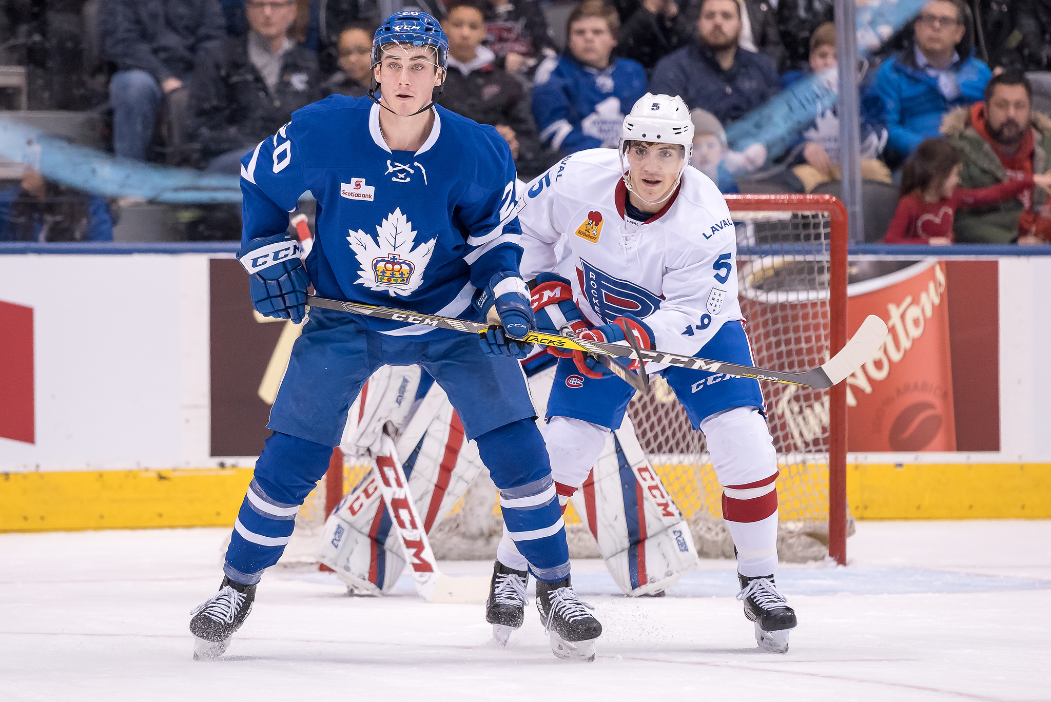Mason Marchment signs an NHL contract with the Toronto Maple Leafs