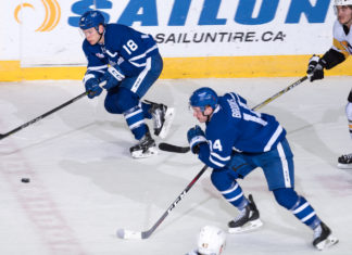 Ben Smith and Adam Brooks of the Toronto Marlies