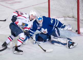 Garret Sparks of the Toronto Marlies