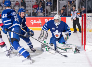 Ian Scott, goaltender for the Toronto Marlies