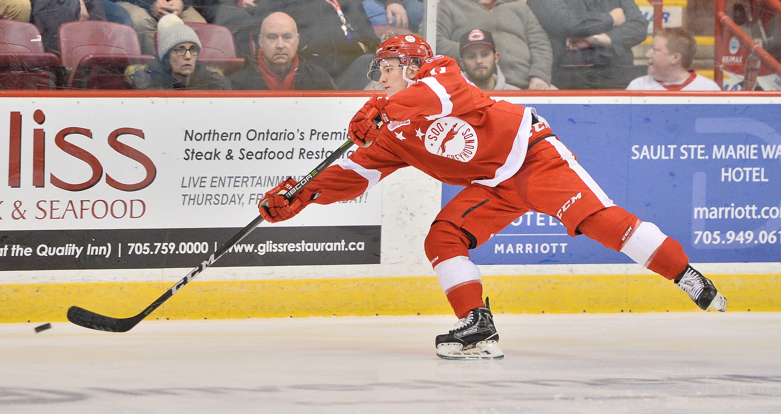 Mac Hollowell of the Sault Ste. Marie Greyhounds. Photo by Terry Wilson / OHL Images.