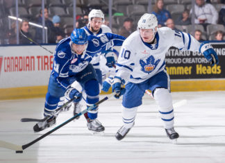 Toronto Marlies Month in Review: Coming Around After a Slow Start Toronto Marlies' Carl Grundstrom
