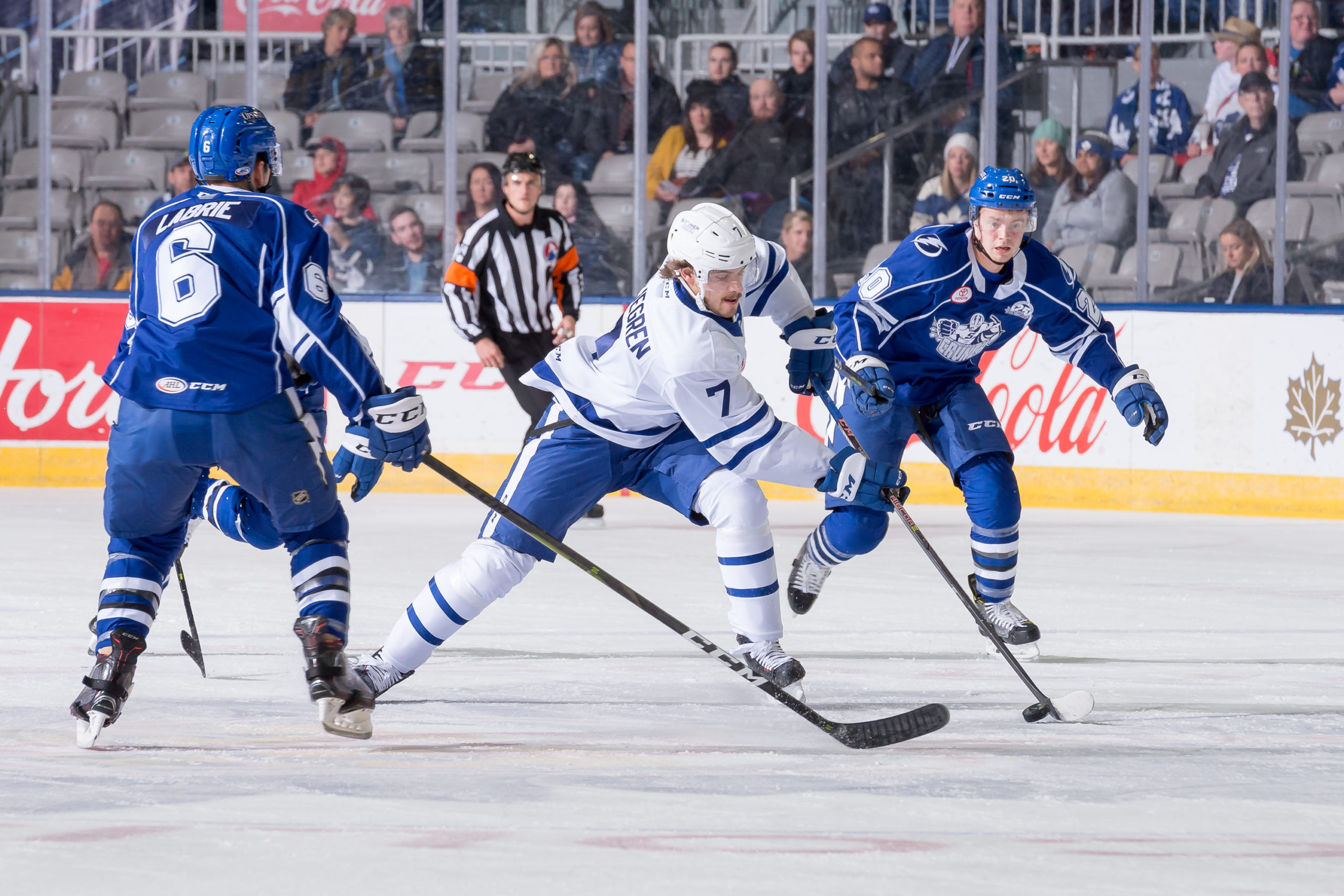 Toronto Maple Leafs Musings: Scouting Timothy Liljegren & Rasmus Sandin ...