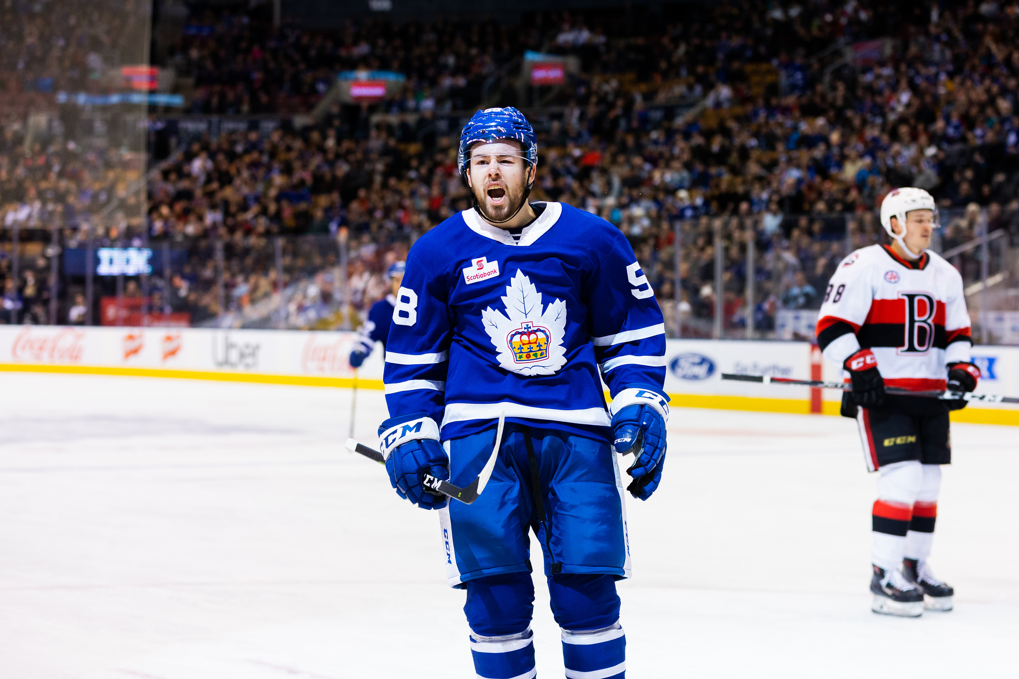 Michael Carcone of the Toronto Marlies