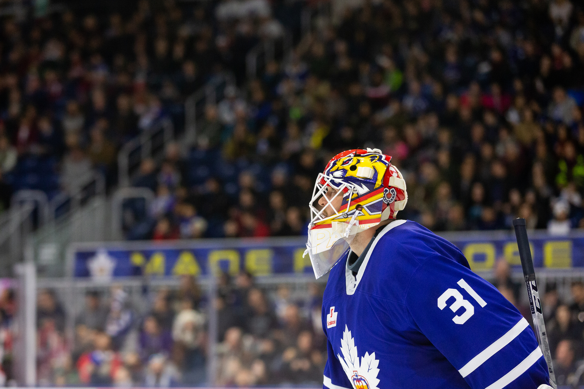 Player photos for the 2019-20 Toronto Marlies at