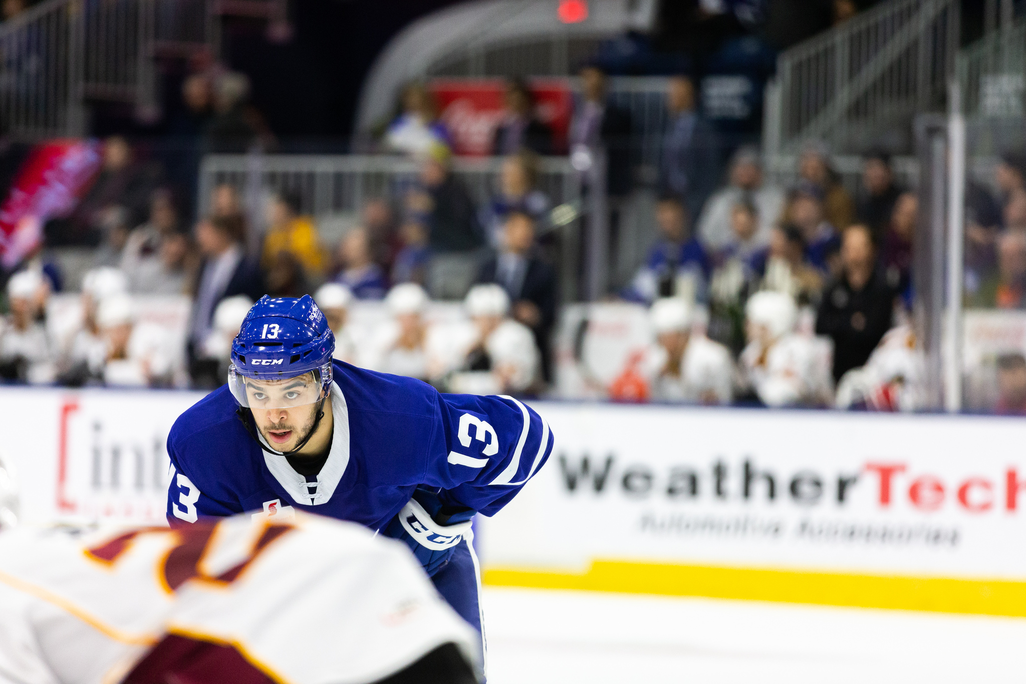 Nick Baptiste, Toronto Marlies