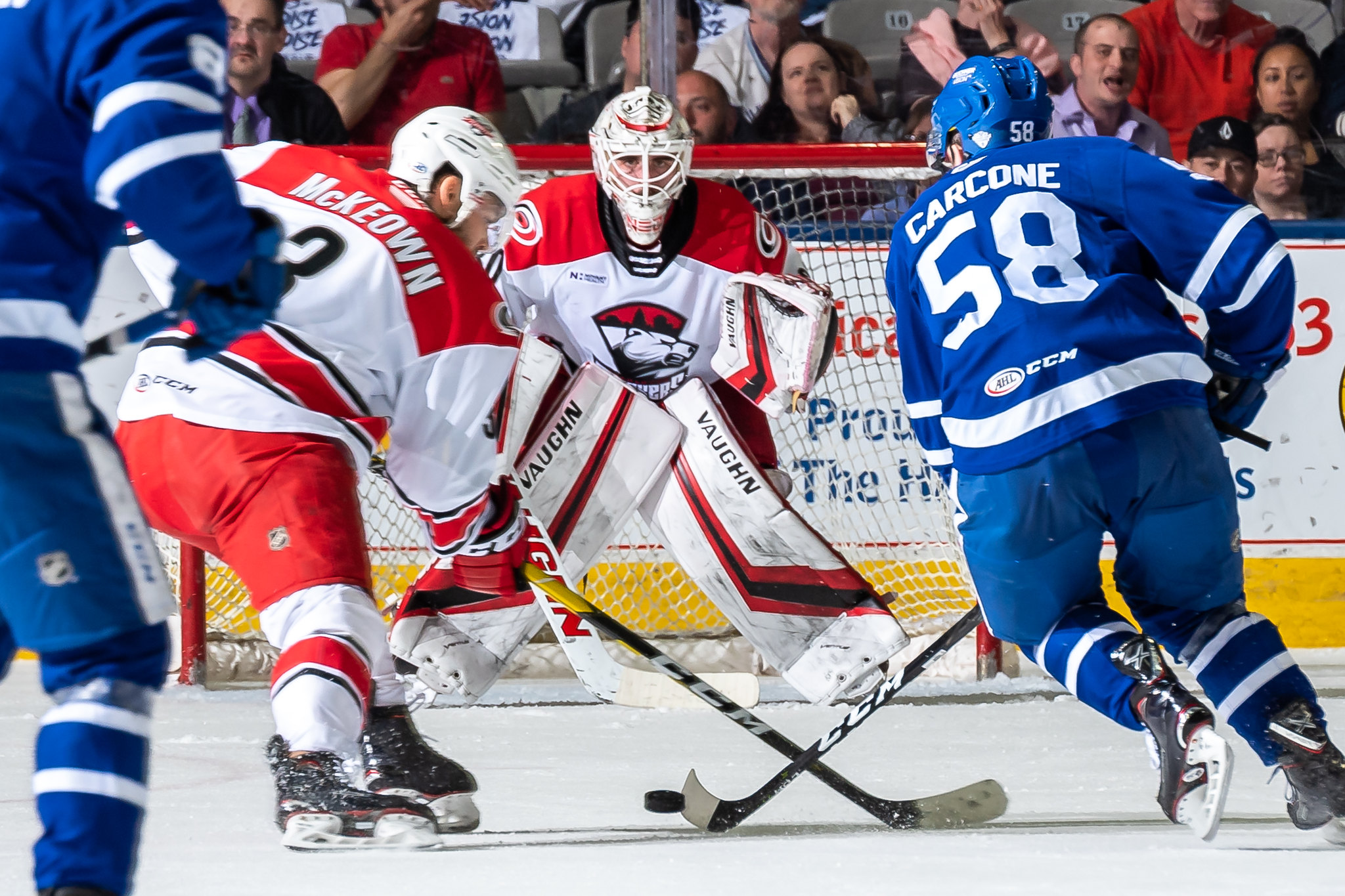 Michael Carcone of the Toronto Marlies vs. Charlotte Checkers, Game 4