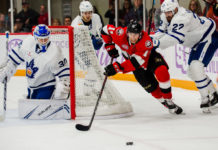 Belleville Senators vs. Toronto Marlies