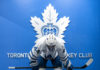 Toronto Marlies hockey