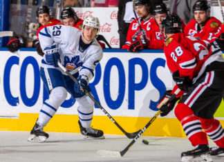 Toronto Marlies vs. Rockford IceHogs