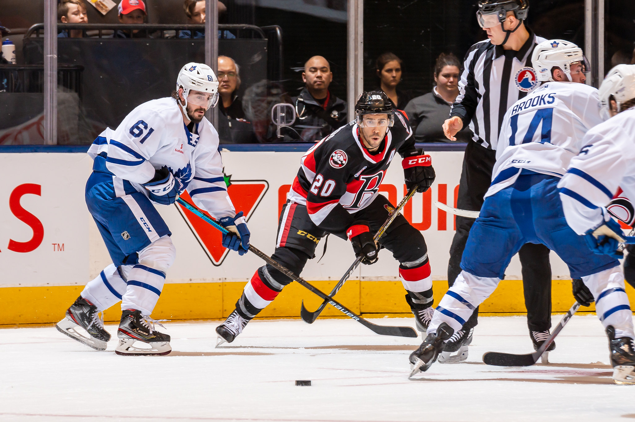 MARLIES LOAN GOALTENDER IAN SCOTT TO THE GROWLERS