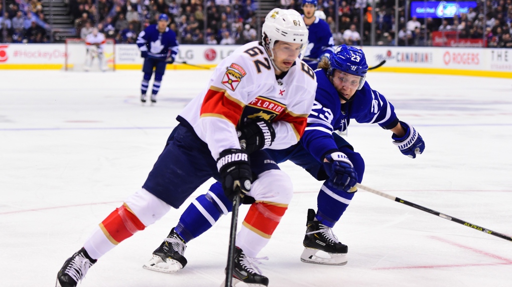Denis Malgin, Toronto Maple Leafs