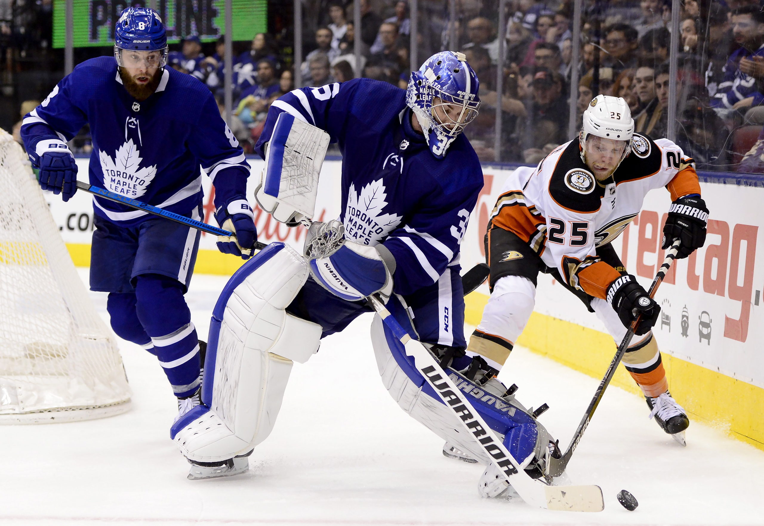 Jack Campbell, Toronto Maple Leafs