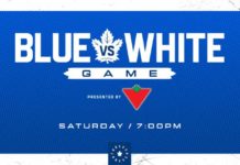 Blue and White game - Toronto Maple Leafs