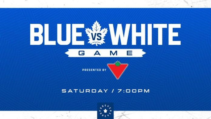 Blue and White game - Toronto Maple Leafs