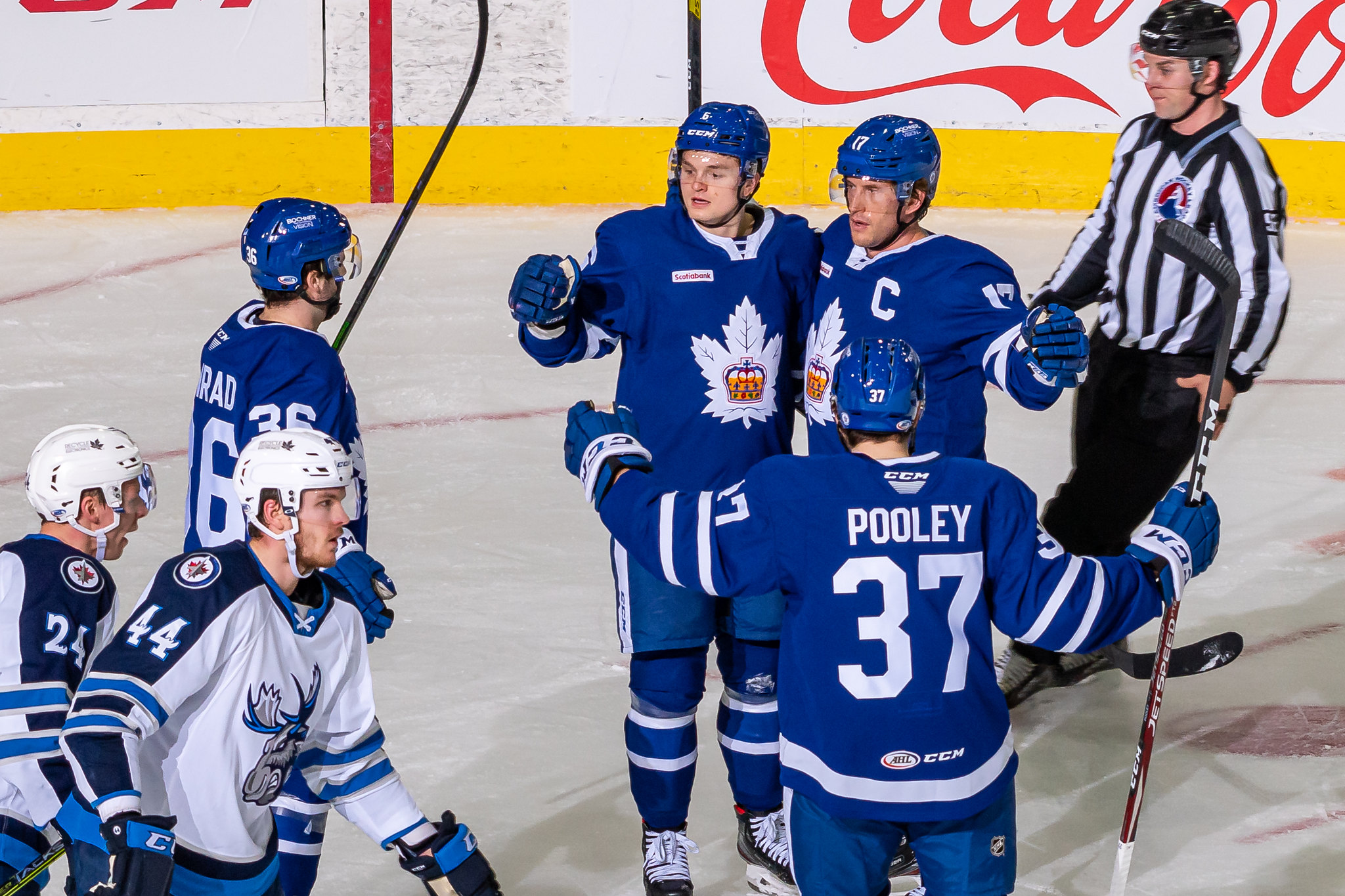 Rich Clune, Toronto Marlies