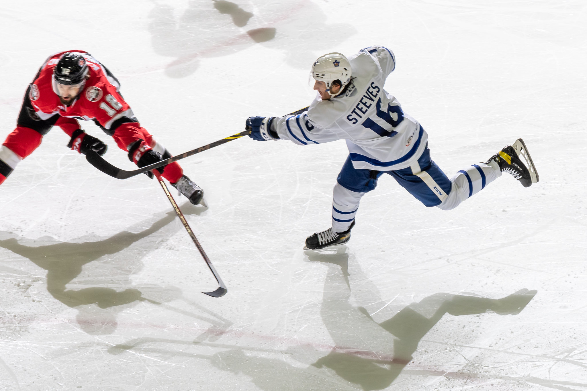 Alex Steeves, Toronto Marlies