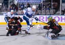 Toronto Marlies vs. Cleveland Monsters, Kyle Clifford