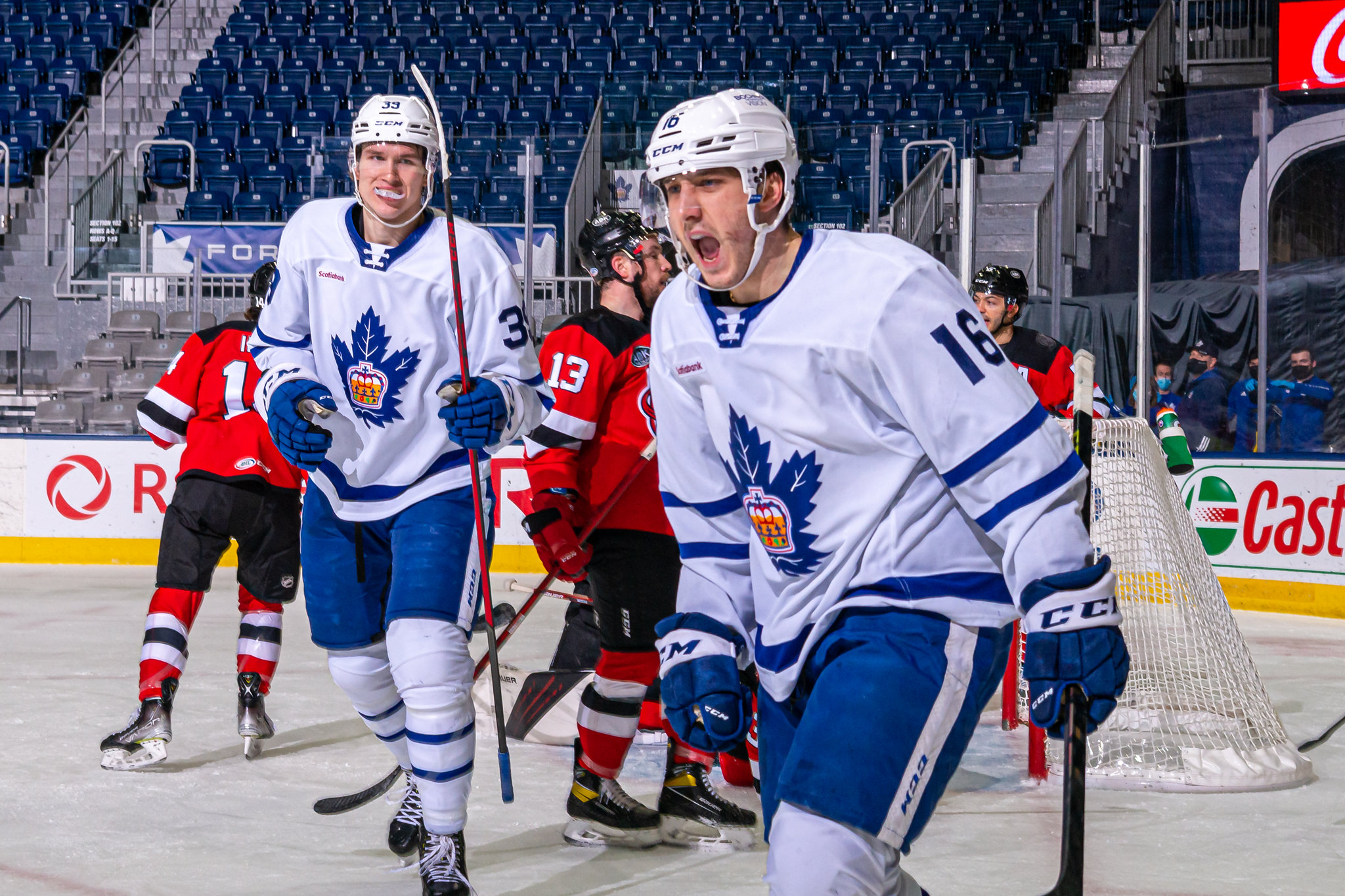 Alex Steeves, Toronto Marlies