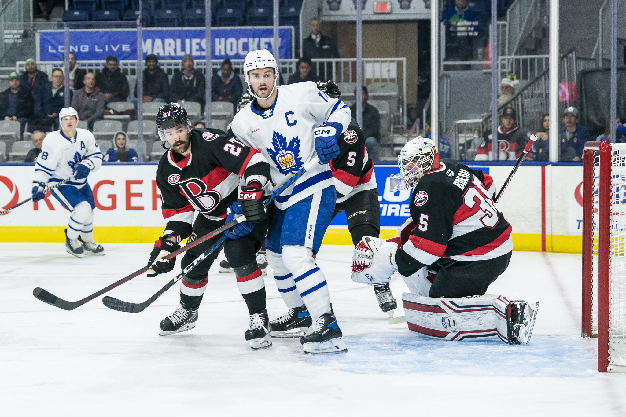 Logan Shaw, Toronto Marlies