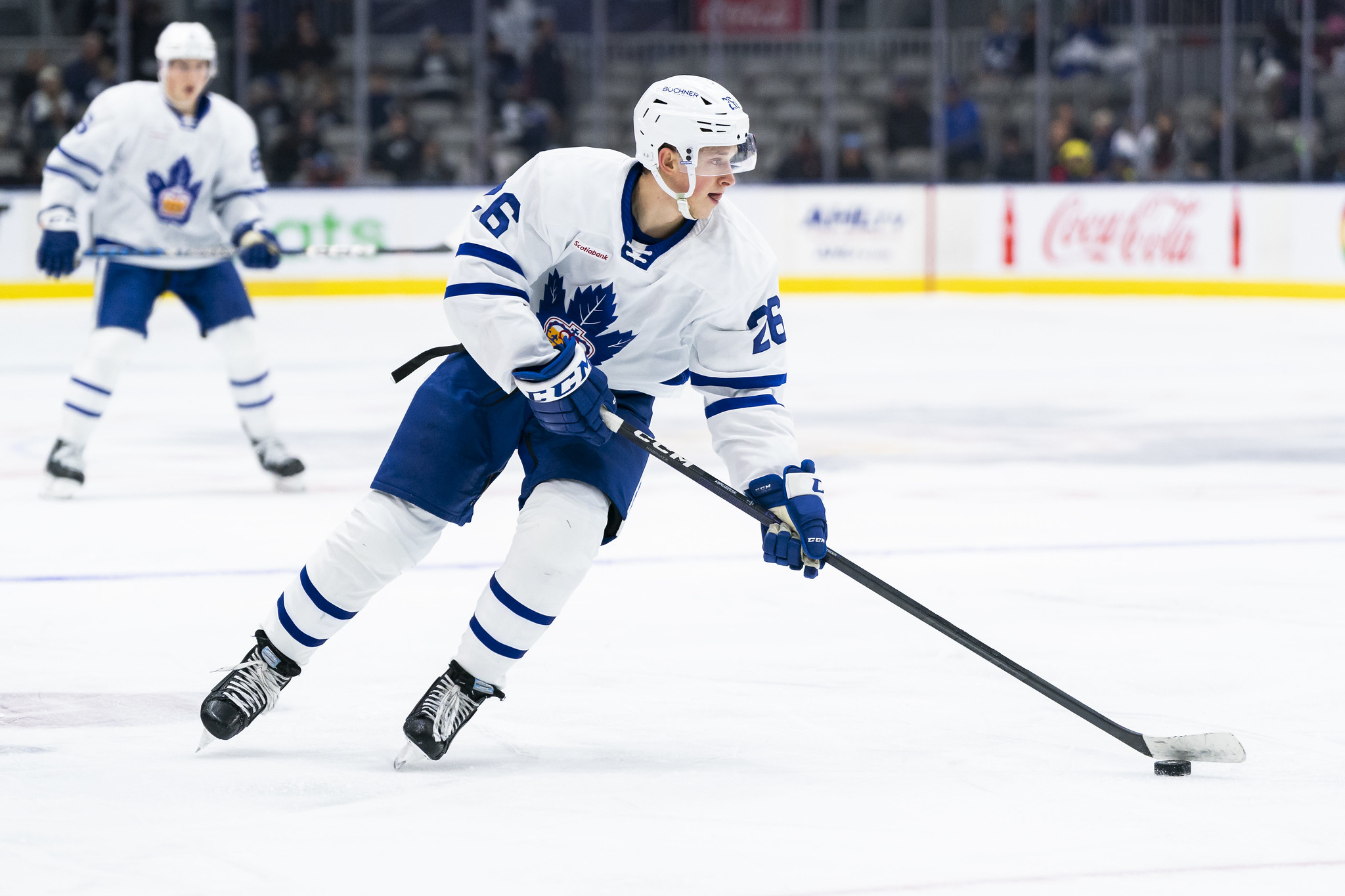 Nick Abruzzese, Toronto Marlies