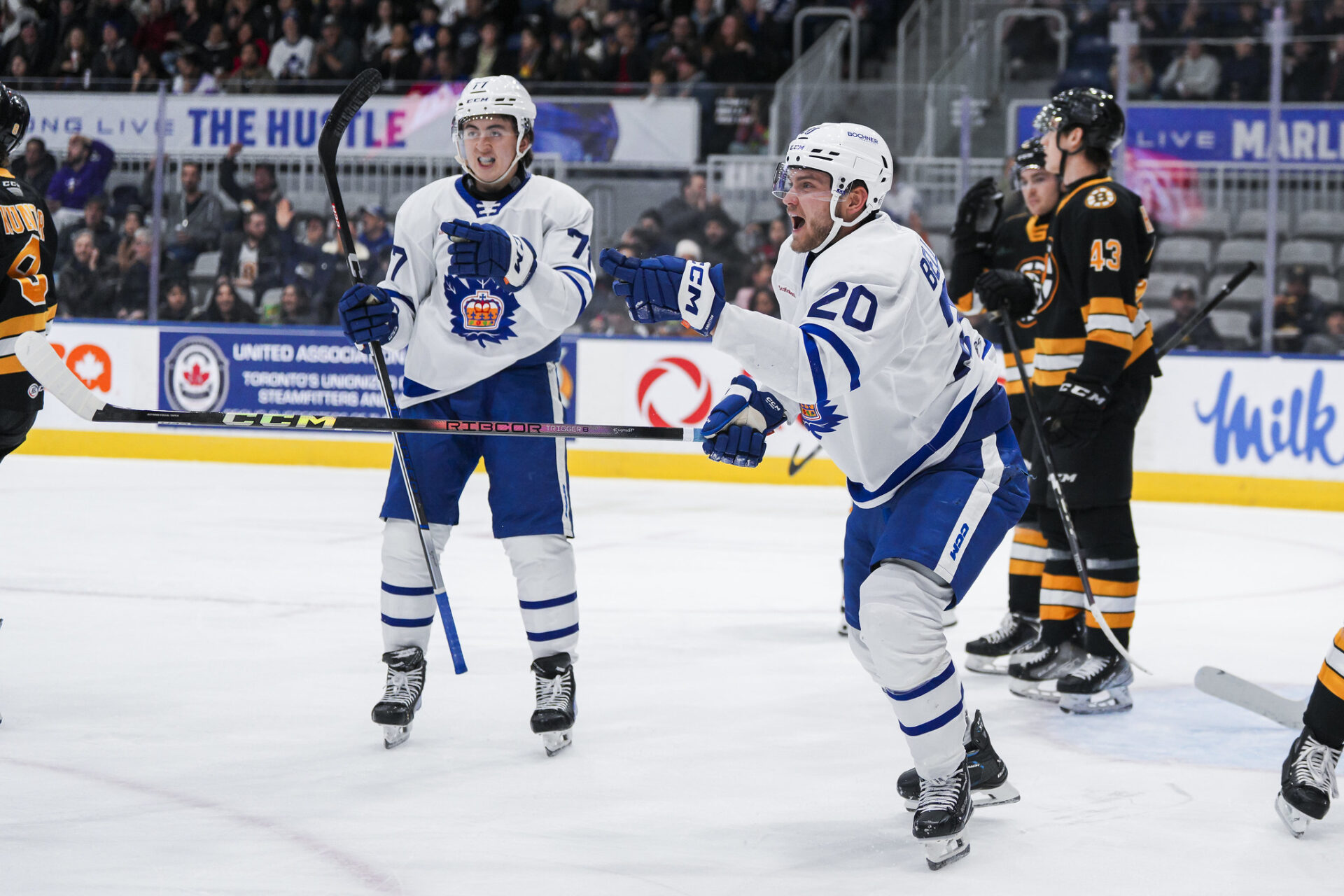 Dennis Hildeby Holds The Fort, Toronto Marlies Break Through In Third ...