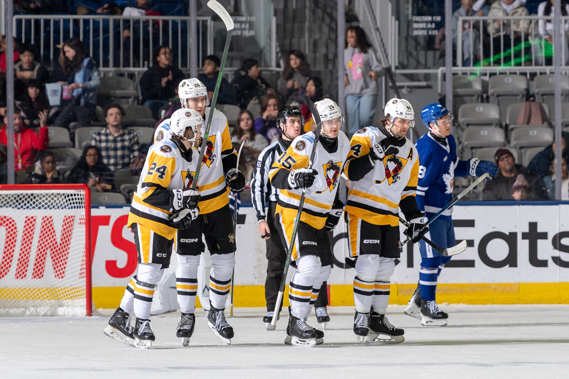 "Embarrassing For Us And The Organization": The Toronto Marlies Suffer ...