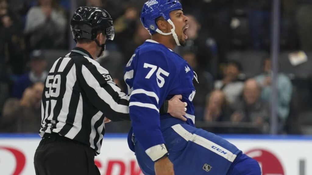 Ryan Reaves, Maple Leafs vs. Rangers, Matt Rempe fight