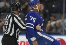 Ryan Reaves, Maple Leafs vs. Rangers, Matt Rempe fight