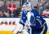 Dennis Hildeby, Toronto Marlies