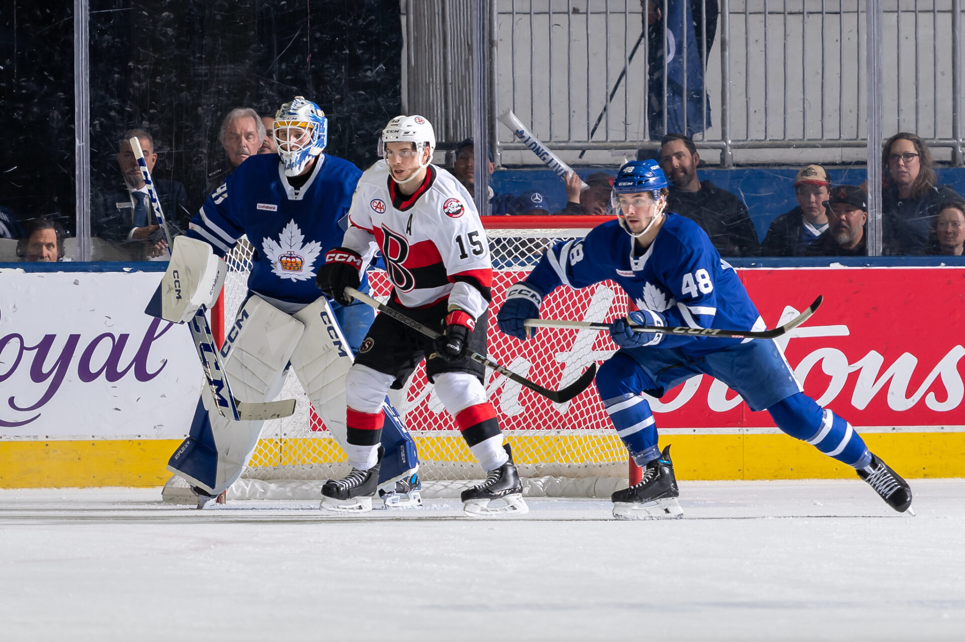 Toronto Marlies' season ends in overtime despite a heroic late comeback ...