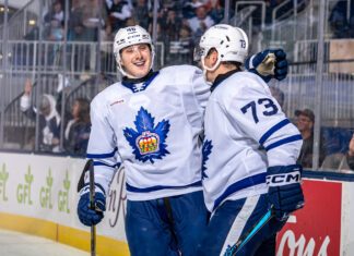 Alex Steeves, Toronto Marlies