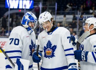 Nikita Grebenkin, Toronto Marlies