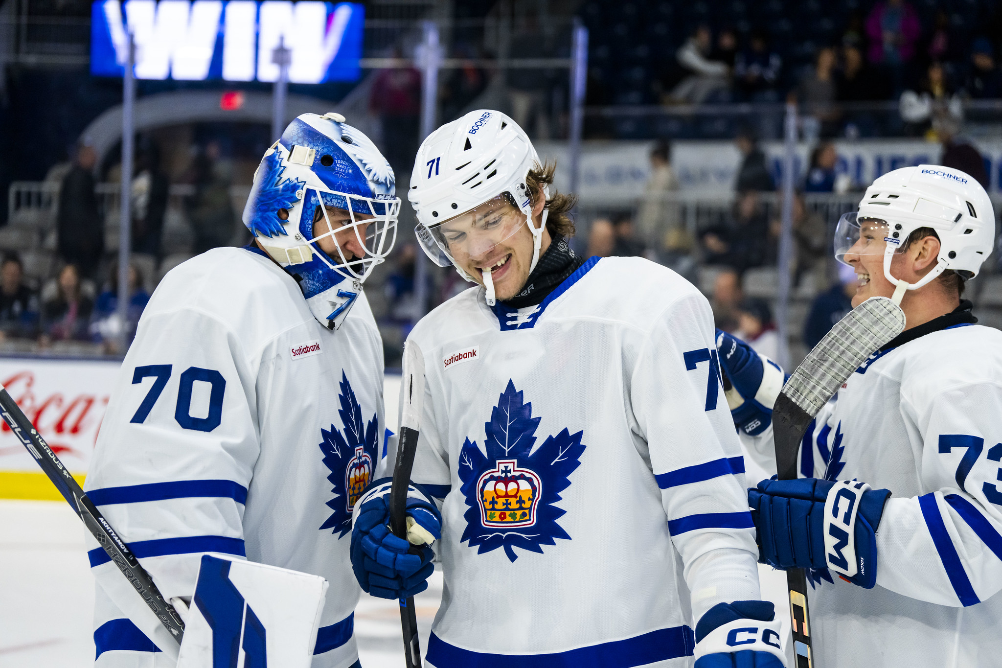 Nikita Grebenkin, Toronto Marlies