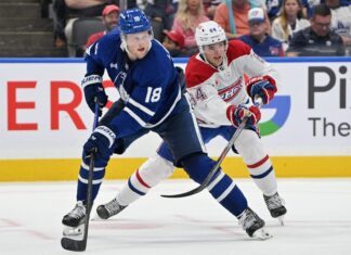 Steven Lorentz, Maple leafs