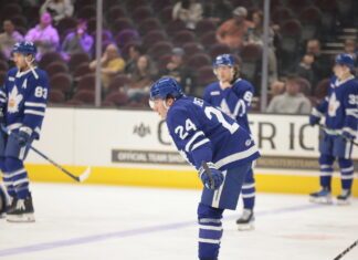 Connor Dewar, Toronto Marlies