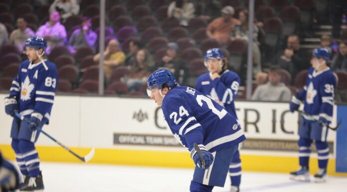 Connor Dewar, Toronto Marlies