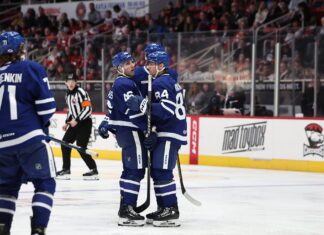 Alex Steeves, Toronto Marlies