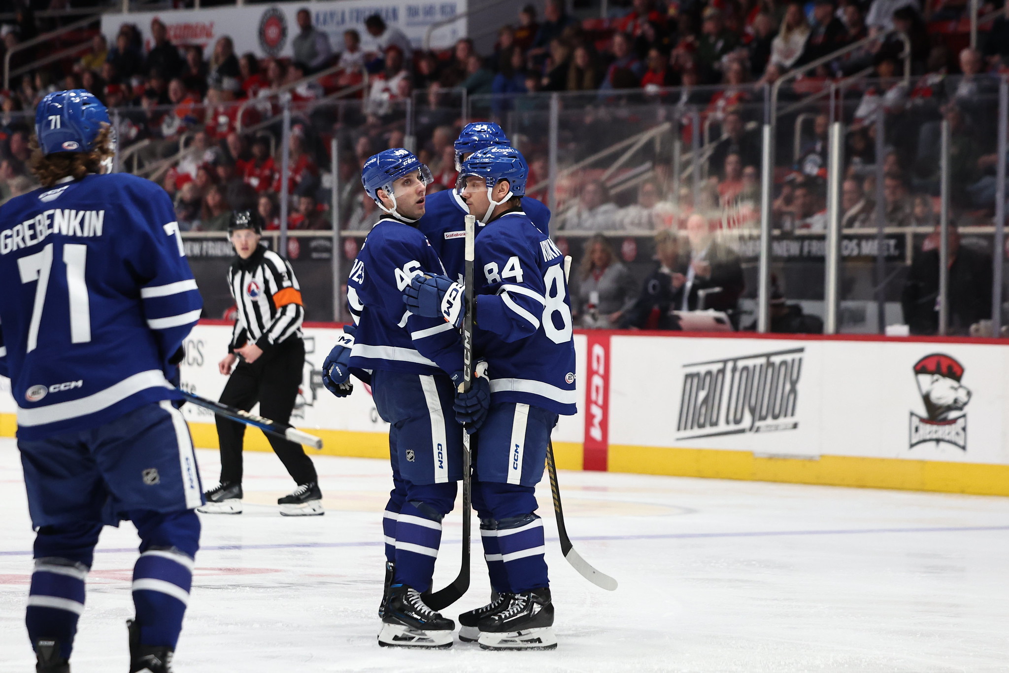 Alex Steeves, Toronto Marlies