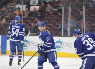 Fraser Minten, Toronto Marlies