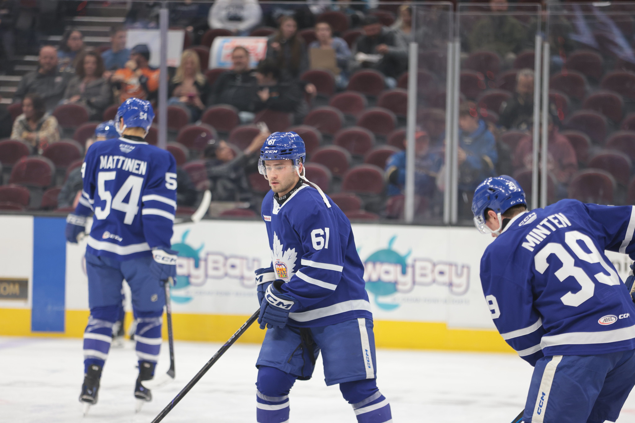 Fraser Minten, Toronto Marlies