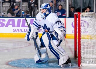 Artur Akhtyamov, Toronto Marlies